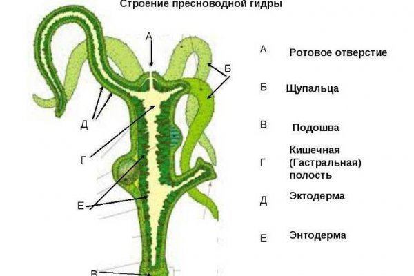 Кракен сайт войти